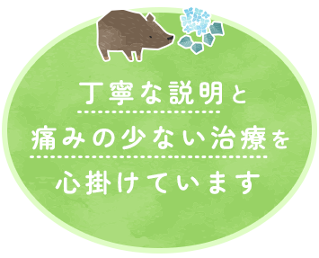 丁寧な説明と痛みの少ない治療を心掛けています